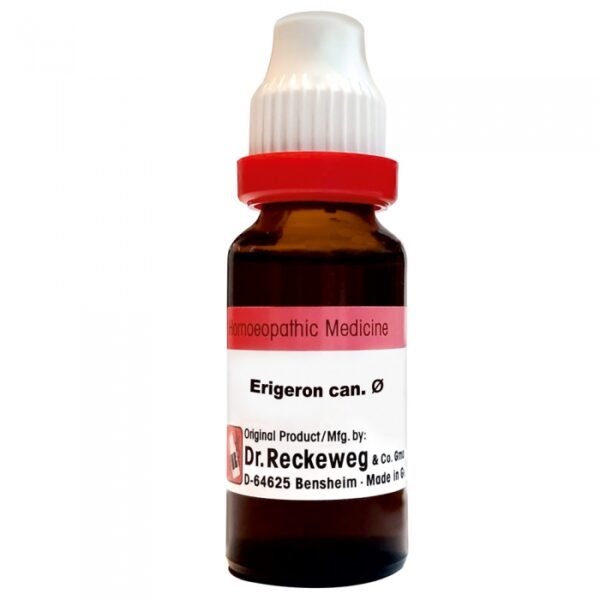 Dr. Reckeweg Erigeron Can Mother Tincture Q 20 ml – Homeopathic Remedy for Digestive, Urinary, Skin & Rheumatic Disorders