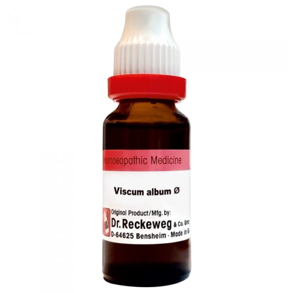Dr. Reckeweg Viscum Album Mother Tincture Q 20ml – Heart Health, Joint Pain & Nervous Support | Buy Online in the United Kingdom