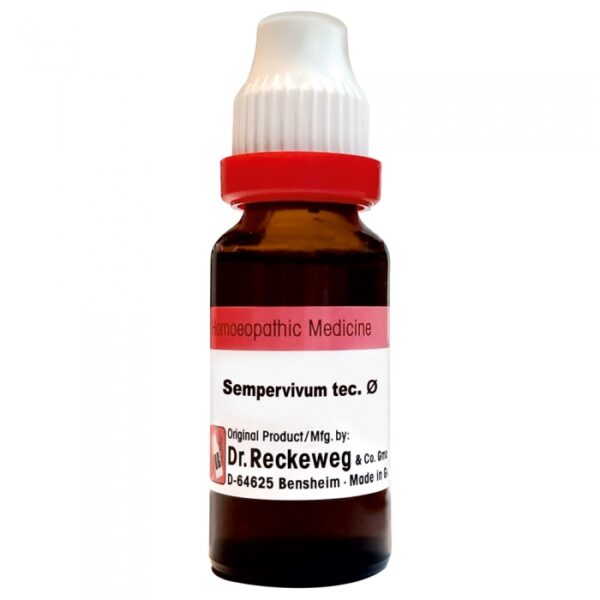 Dr. Reckeweg Sempervivum Mother Tincture Q 20ml – Natural Relief for Haemorrhoids, Ulcers, Warts & Skin Health | Buy Online in United Kingdom