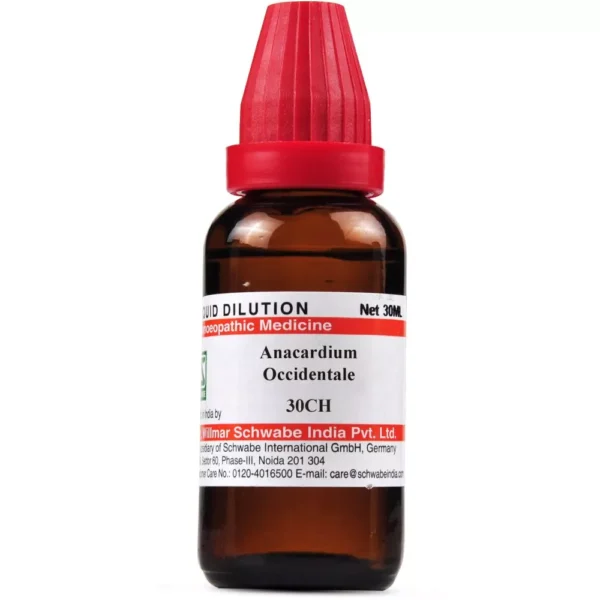 Buy Dr. Willmar Schwabe India Anacardium Occidentale Dilution 30 CH (30 ml) in United Kingdom – Natural Homeopathic Remedy for Memory, Concentration, Stomach Disorders, Chest Congestion, Anxiety, Rheumatic Pains & Skin Health
