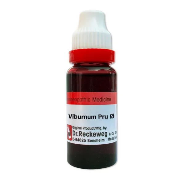 Dr. Reckeweg Viburnum Prunifolium Mother Tincture Q – 20 ml | Menstrual Pain, Uterine Spasm & Female Reproductive Support | Available at www.mycosmedics.uk