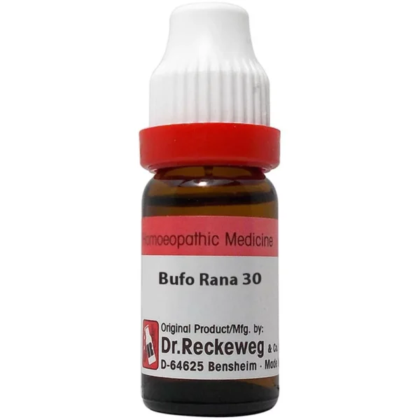 Dr. Reckeweg Bufo Rana Dilution 30 CH (11ml) – Epilepsy, Nervous Disorders, Seizures, Sexual Weakness, Mental Excitement, Anxiety, Spasms & Chronic Nervous Complaints
