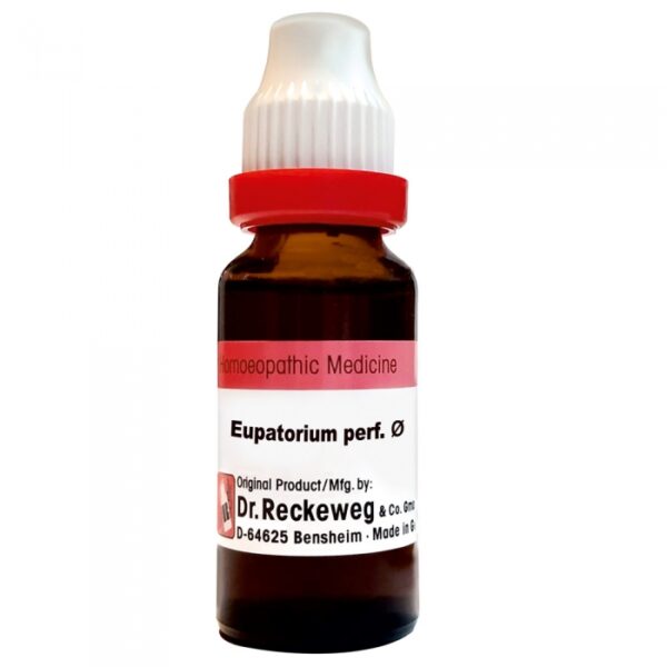 Dr. Reckeweg Eupatorium Perfoliatum Mother Tincture Q – 20 ml | Fever, Body Ache, Bone Pain & Flu-Like Symptoms Support | Available at www.mycosmedics.uk