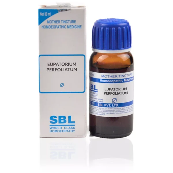SBL Eupatorium Perfoliatum Mother Tincture Q 30ml – Natural Homeopathic Support for Dengue Fever, Viral Fever, Bone-Breaking Body Pain, Chills, Malaria-Type Fever & Severe Muscular Aches